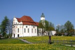 WiesLöwenzahn kleiner