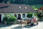 Aussenansicht mit Kutsche