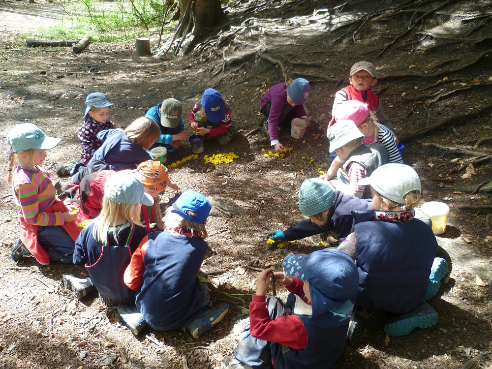 Waldkindergarten Peiting “Die Wurzelzwerge“ e.V. – Peiting.de