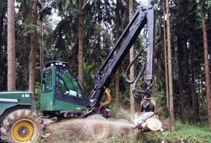 Wird befallenes Holz aufgearbeitet, sollen vorrangig Maschinen – beispielsweise ein Harvester – eingesetzt werden.                                                                  Foto: SVLFG